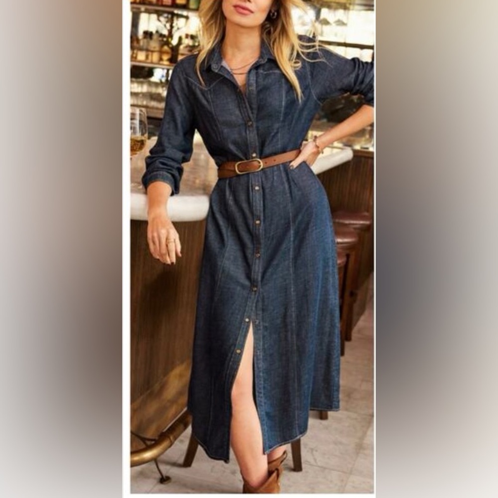 Cloth and Stone Western Yoke Shirt Dress